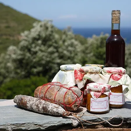 Casa Di Babbo Bed & Breakfast