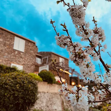 Casa Di Babbo