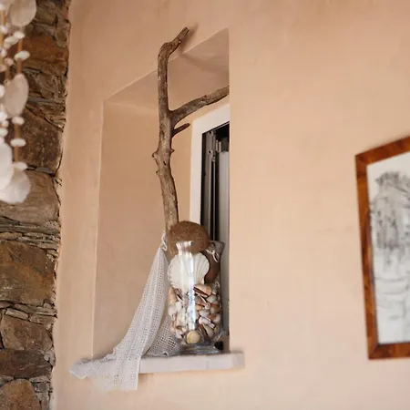 Casa Di Babbo