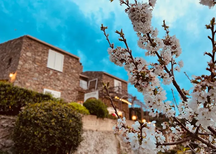 Casa Di Babbo